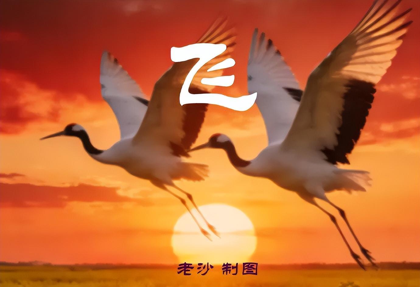 乐鱼体育网站入口-4.28股市早8点丨英伟达疯了谷歌飙了